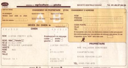 Documents obligatoires lors de l'achat d'un chiot ou d'un chien 