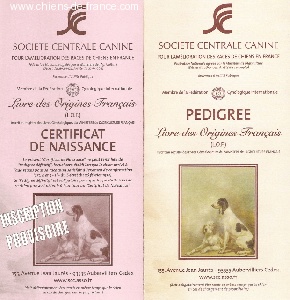 Documents  d'un chiot ou d'un chien pedigree