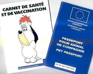 Le carnet de vaccination et le passeport