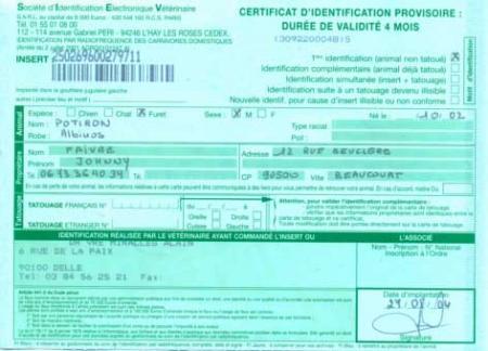 La carte d'identification